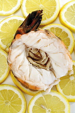 Cooked, halved shrimp on lemon slices