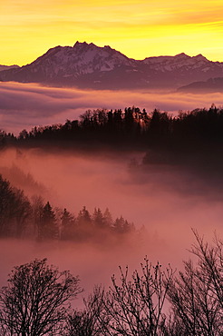 Foggy mood in the evening light with view on Mt. Pilatus, Zug, Switzerland, Europe