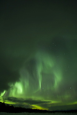 Swirling Northern lights, Polar aurora or Aurora Borealis, green, near Whitehorse, Yukon Territory, Canada