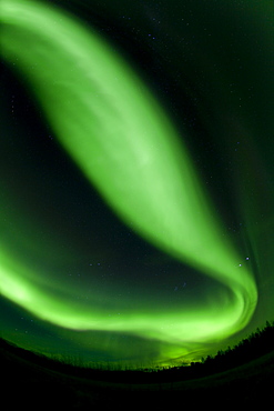 Swirling green northern polar lights, Aurora borealis, near Whitehorse, Yukon Territory, Canada