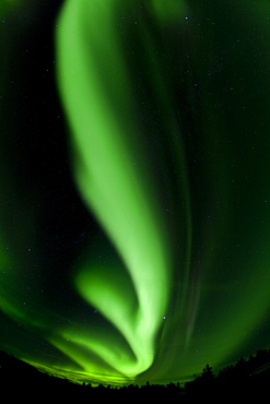 Swirling northern polar lights, Aurora Borealis, green, near Whitehorse, Yukon Territory, Canada