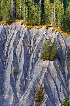 Slipped slope, landslide, erosion slope, Vorarlberg, Austria, Europe