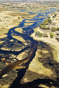 The Gomoti River with its channels, islands, sandbanks and adjoining freshwater marshland, aerial view, Okavango Delta, Botswana, Africa