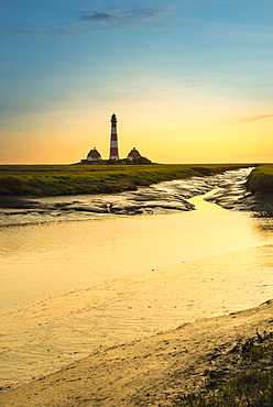 Creek in the salt marshes in front of Westerhever Lighthouse in the evening sun, Westerhever, Eiderstedt, North Frisia, Schleswig-Holstein, Germany, Europe