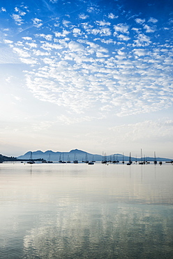 Sailing boats, Puerto de Pollensa, Port de Pollenca, Majorca, Balearic Islands, Mediterranean Sea, Spain, Europe