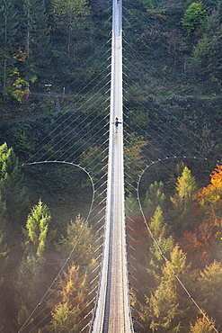 Hanging rope bridge Geierlay, Mörsdorfer Bachtal, Mörsdorf, Hunsrück, Rhineland-Palatinate, Germany, Europe