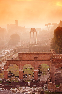 Roman Forum in the morning mist at sunrise, Foro Romano, Rome, Lazio, Italy, Europe