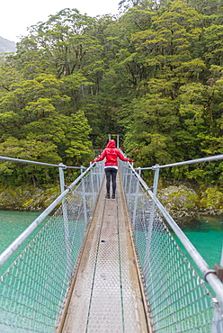 Woman crossing Suspension Bridge, Blue Pools, Haast Pass, West Coast, Southland, New Zealand, Oceania