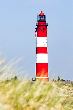 Lighthouse, Amrum, North Frisian Islands, Schleswig-Holstein, Germany, Europe