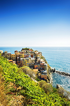 Townscape, UNESCO World Heritage Site, Manarola, Cinque Terre, Liguria, Italy, Europe