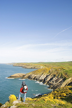 Hiker looking out over the coast, sea, lookout point, Pembrokeshire National Park, Wales, United Kingdom, Europe