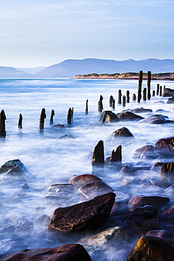 Groynes on Rossbehy Beach, Glenbeigh, County Kerry, Ireland, Europe