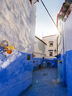 Narrow alley, blue houses, medina of Chefchaouen, Chaouen, Tangier-Tétouan, Morocco, Africa