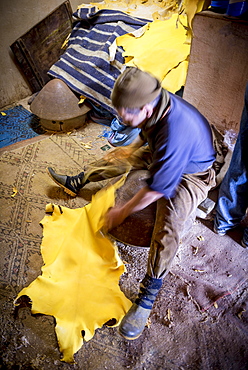 Worker working on leather, dying, tannery, Tannerie Chouara, tanner and dyer quarter, Fes el Bali, Fes, Kingdom of Morocco, Africa