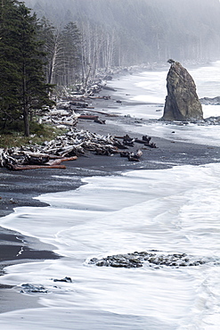 Rialto Beach in Olympic National Park, La Push, Washington, United States, North America