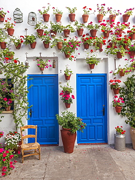 Blue front doors with many red geraniums in flowerpots on a house wall, Fiesta de los Patios, Cordoba, Andalusia, Spain, Europe