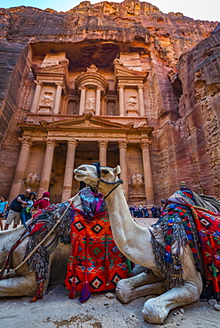 Dromedaries in front of the Pharaoh's treasure house carved out of rock, facade of the Al-Khazneh treasure house, Khazne Faraun, mausoleum in the Nabataean city of Petra, near Wadi Musa, Jordan, Asia