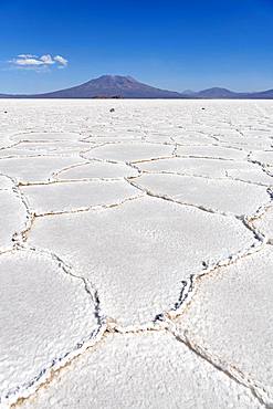 Salt crust, Salar de Uyuni, Altiplano, Bolivia, South America