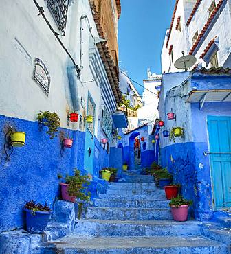 Narrow alley with colorful flowerpots, blue houses, Medina of Chefchaouen, Chaouen, Tangier-Tetouan, Morocco, Africa