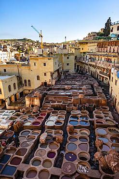 View over tannery, workers dyeing leather, tanks with dye, dyeing plant, tannery, tannery Chouara, tannery and dyeing district, Fes el Bali, Fes, Morocco, Africa