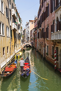 Gondolier steering gondola with tourists on narrow canal with historical buildings, Castello district, Venice, Veneto, Italy, Europe