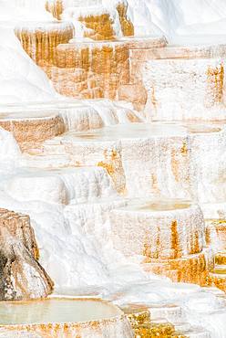 Sinter terraces with calcareous tuff deposits, hot springs, colorful mineral deposits, Palette Springs, Lower Terraces, Mammoth Hot Springs, Yellowstone National Park, Wyoming, USA, North America