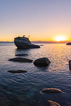 Bonsai Rock, small tree on a rock in the water, sunset, Lake Tahoe, California, USA, North America