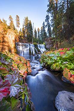 Middle Falls, Fall Waterfall, McCloud River, Siskiyou County, California, USA, North America