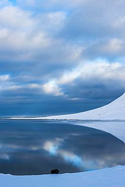 Snow-covered coastal landscape with water reflection, north coast of the peninsula Snaefellsnes, Grundarfjoerdur, Iceland, Europe