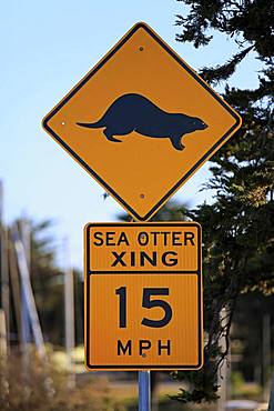 Traffic sign Caution Sea Otter, Speed Limit, Elkhorn Slough, California, USA, North America