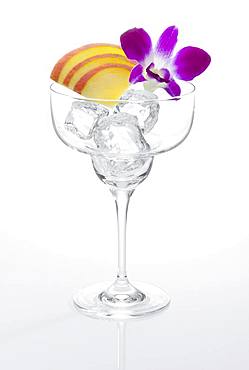 Glass prepared for cocktail, decorated with apple slice cubes and edible orchid blossom, ice cube, Germany, Europe