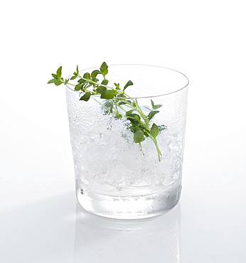 Cocktail glass, decorated with thyme, crushed ice, Germany, Europe