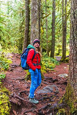 Hiker on hiking trail in rainforest, Mount Baker-Snoqualmie National Forest, Washington, USA, North America