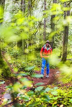 Hiker on hiking trail in rainforest, Mount Baker-Snoqualmie National Forest, Washington, USA, North America