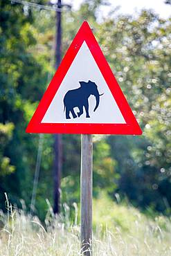 Warning sign, Warning of wild elephants, Manyeleti Game Reserve, South Africa, Africa