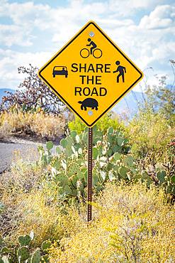 Road Sign in Sonora Desert, Tucson, Arizona, USA, North America