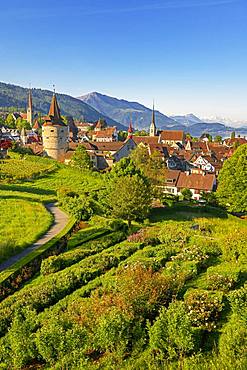 Town view with Capuchin tower and church, old town, Rigi at the back, Zug, Canton Zug, Switzerland, Europe