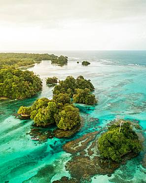 Wooded coastal area with mangroves, drone shot, Escudo de Veraguas, Panama, Central America