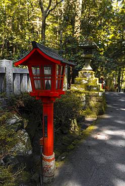 Red Lantern, Hakone Shrine, Shinto Shrine, Hakone, Fuji Hakone Izu National Park, Japan, Asia