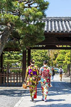 Japanese women dressed with kimono, colorful traditional clothes, at Kennin-ji Temple, Old Town of Kyoto, Higashiyama, Kyoto, Japan, Asia