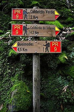 Signpost Hiking trail PR 9 Levada Levada Levada Caldeirao Verde, Queimadas, Caldeirao do Inferno, Rainforest, Madeira, Portugal, Europe