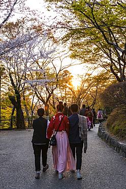 Japanese walking in the park, at sunset, Kyoto, Japan, Asia