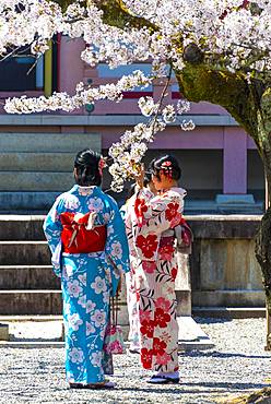 Japanese women with kimono at pagoda Amidado, Chion-in temple, Kyoto, Japan, Asia