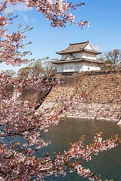 Osaka Castle with moat to the cherry blossom, Osaka Castle Park, Chuo-ku, Osaka, Japan, Asia