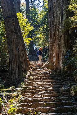 Hiker stands between big old trees, stony path in the forest to the Hirou-jinja Shinto shrine, pilgrim path Kumano Kodo, Nachisan, Wakayama, Japan, Asia