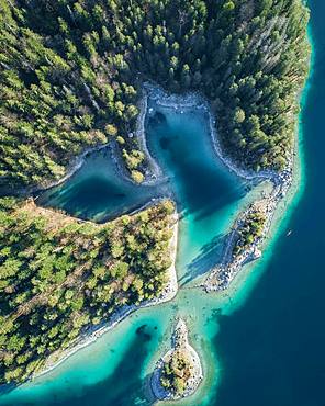 Coastline with islands, coniferous forest, turquoise water, Eibsee lake, Germany, Europe