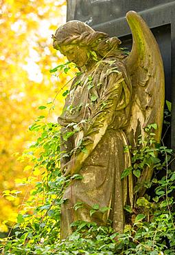 Female angel figure, praying, with star on the crown, entwined with climbing plants, autumn light, historical tomb on cemetery, Friedhoefe an der Bergmannstrasse, Berlin-Kreuzberg, Berlin, Germany, Europe