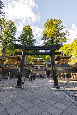 Torii gate at Tosho-gu Shrine from the 17th century, Shinto Shrine, shrines and temple of Nikko, UNESCO World Heritage Site, Nikko, Japan, Asia