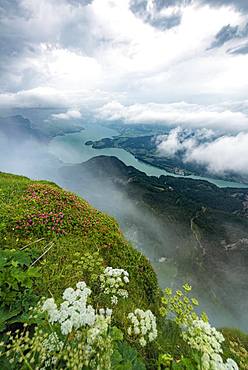 Cloud-covered lake, view of the Mondsee from the summit of the Schafberg, Salzkammergut, Salzburg, Austria, Europe