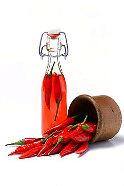 Chili oil in bottle and red chillies in ceramic vessel, Germany, Europe